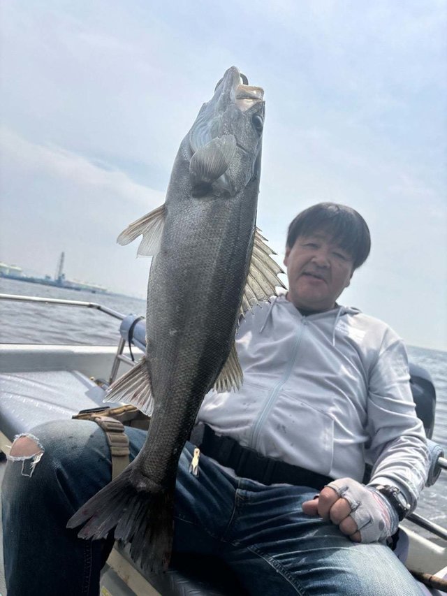 シーバス(スズキ)