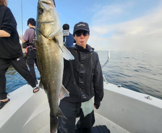 シーバス(スズキ)