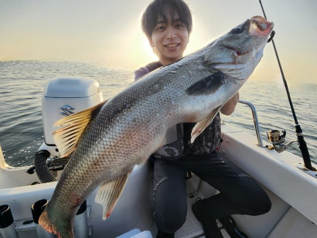 シーバス(スズキ)