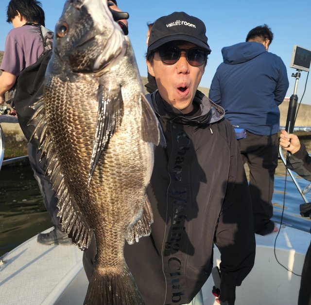 チヌ(クロダイ)