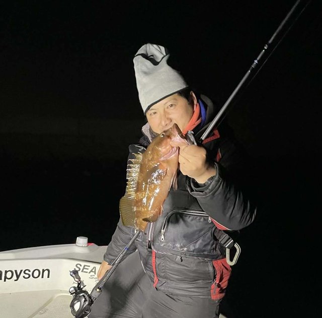 アコウ(キジハタ)