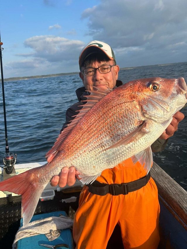 オオダイ(マダイ)