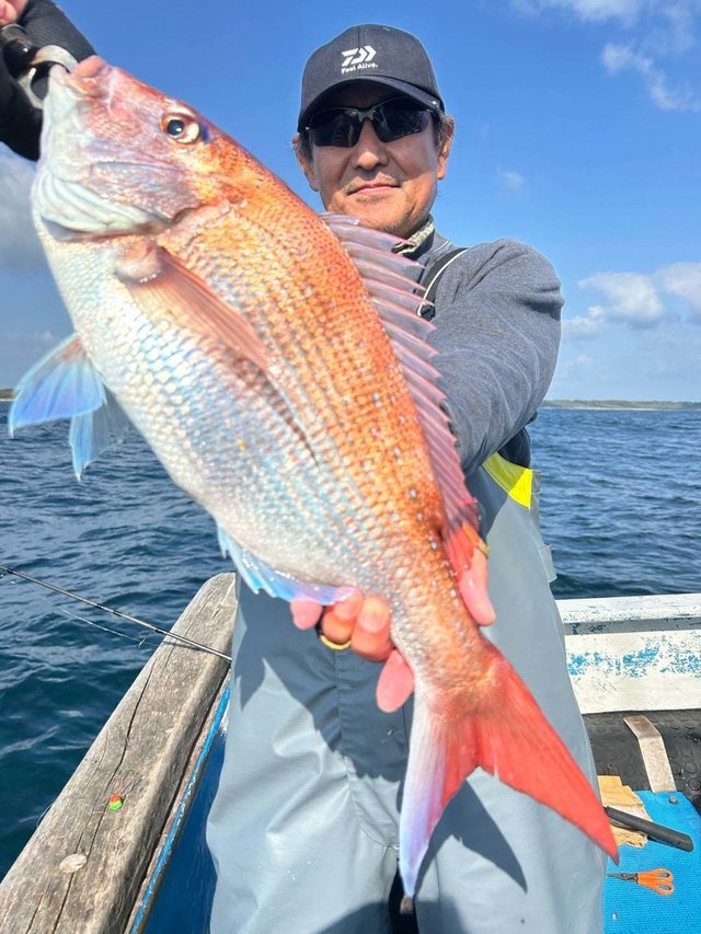 オオダイ(マダイ)