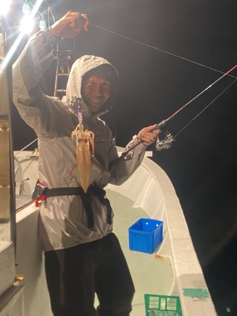 マイカ(ケンサキイカ)