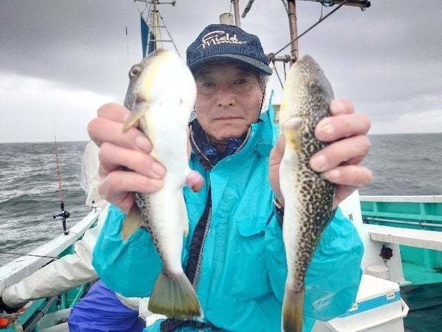 ショーサイフク(ショウサイフグ)