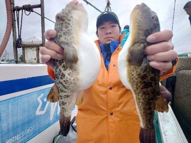 ヒガンフク(ヒガンフグ)