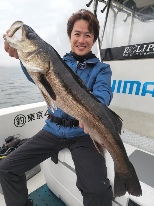 シーバス(スズキ)