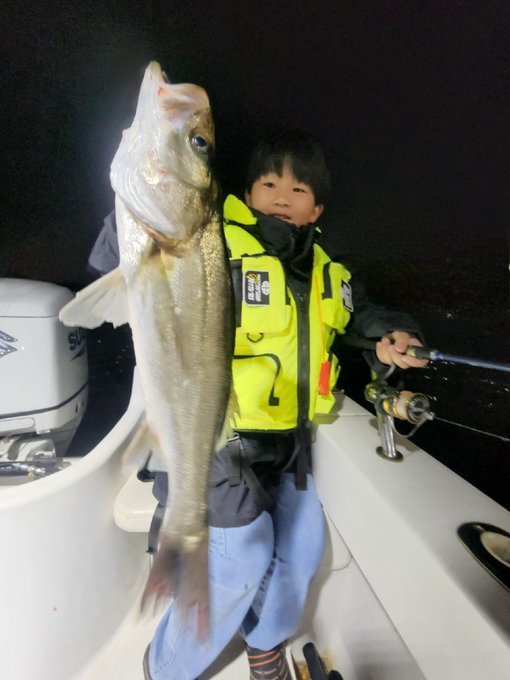 シーバス(スズキ)