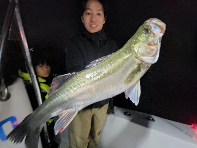 シーバス(スズキ)