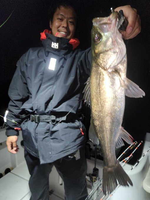 シーバス(スズキ)