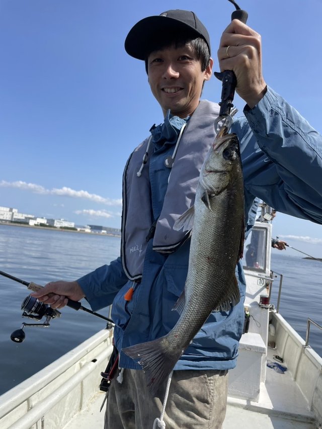 シーバス(スズキ)