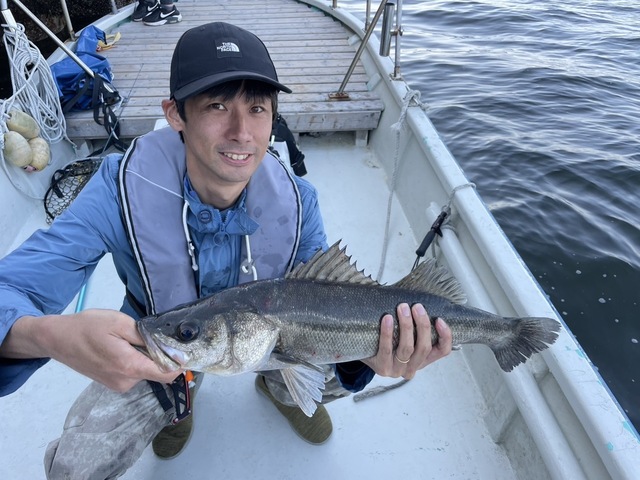 シーバス(スズキ)