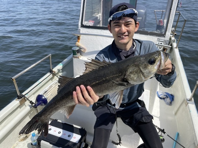 シーバス(スズキ)