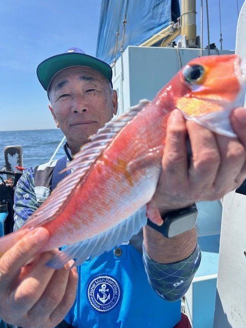 アマダイ(アカアマダイ)