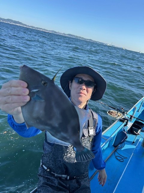 ウマズラハギ(ウマヅラハギ)