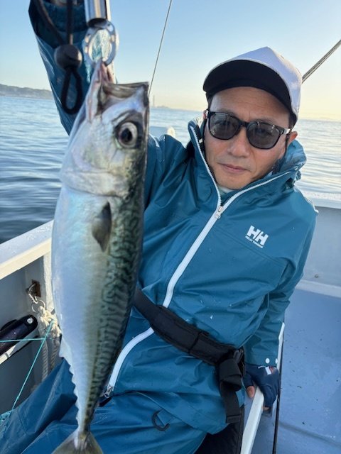 サバ(ゴマサバ)