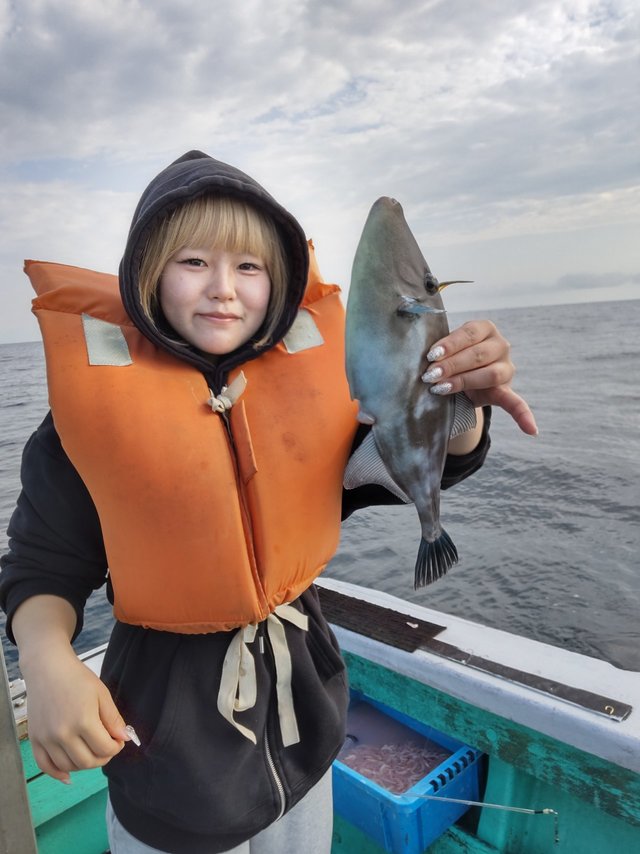 ハゲ(ウマヅラハギ)