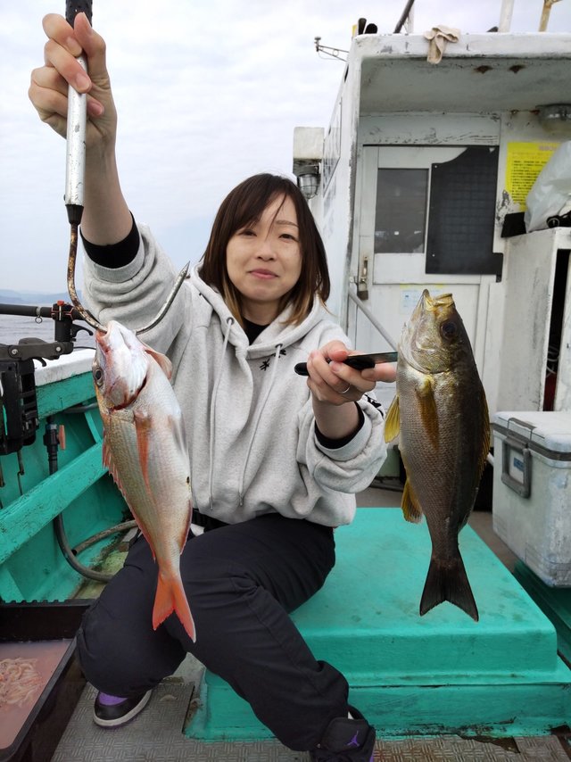 マダイ・イサキ