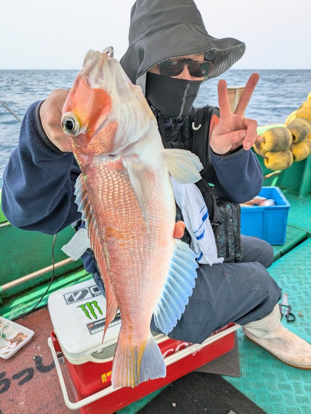 アマダイ(アカアマダイ)