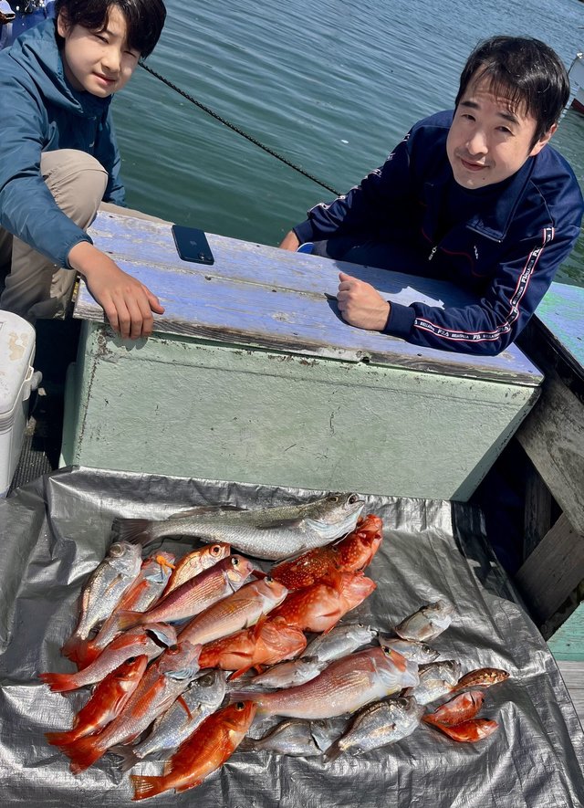 スズキ・アマダイ(アカアマダイ)・ガシラ(カサゴ)