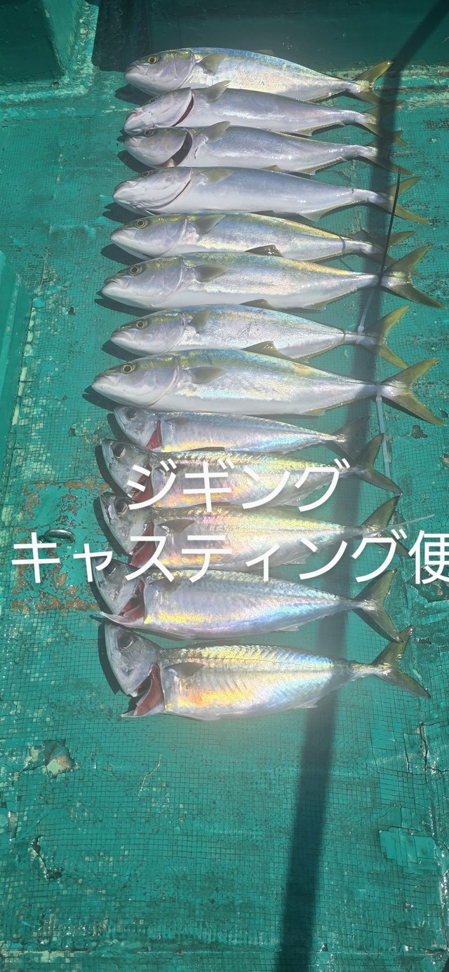 ハマチ(ブリ)・サバ(マサバ)