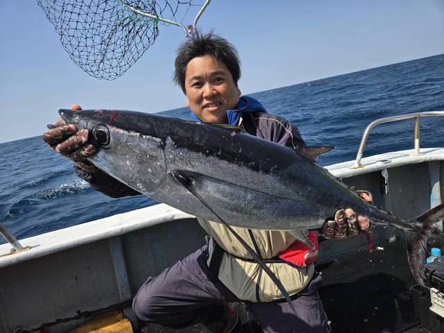 トンボ(ビンナガ)