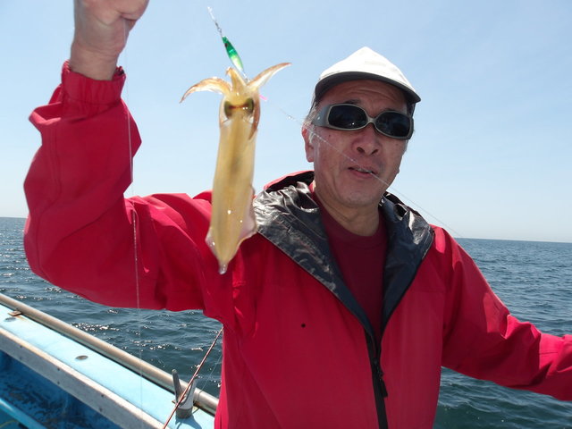 マルイカ(ケンサキイカ)