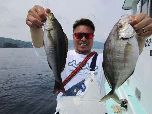 カイワリ・イサキ