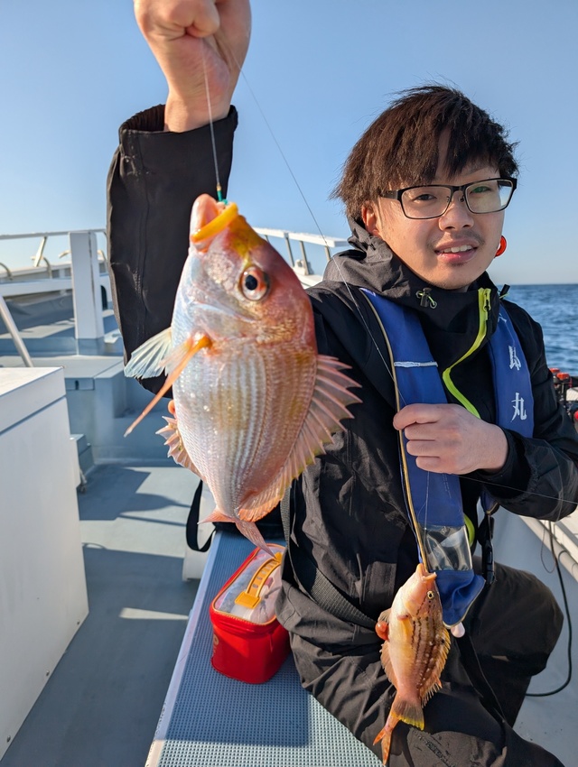 レンコダイ(キダイ)