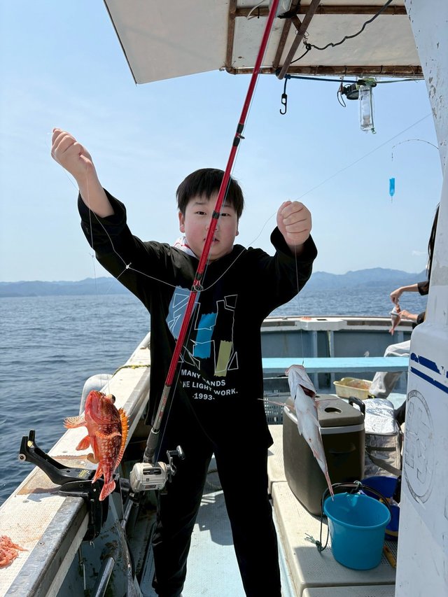 ガシラ(カサゴ)