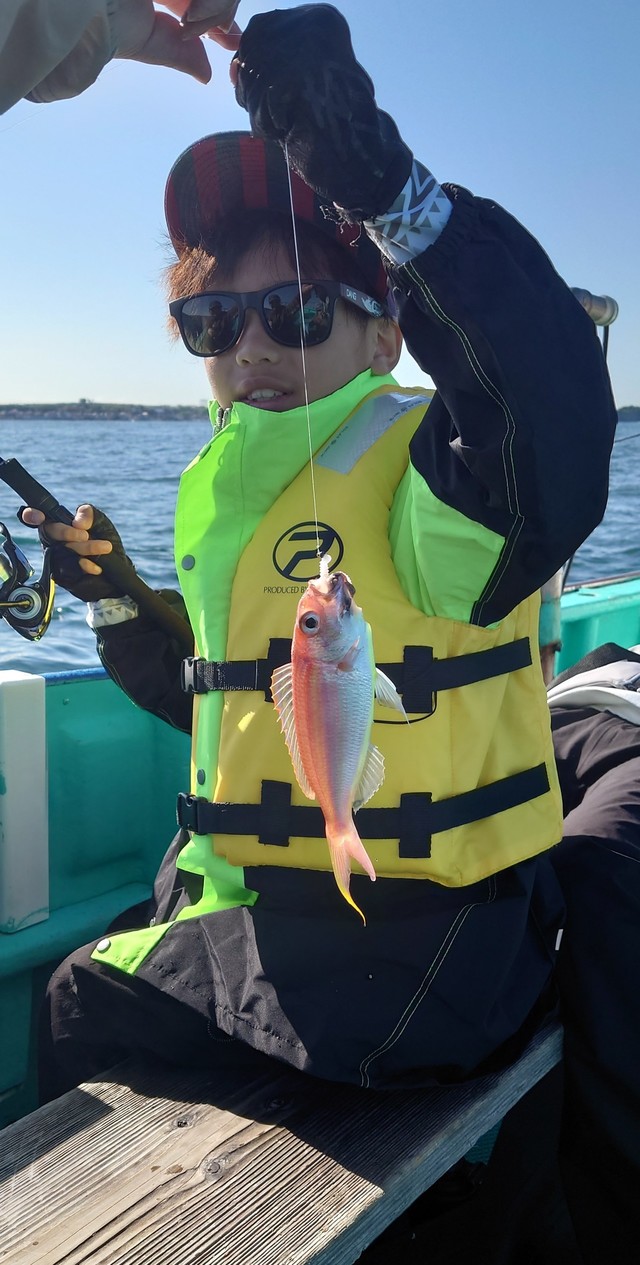 イトヨリ(イトヨリダイ)