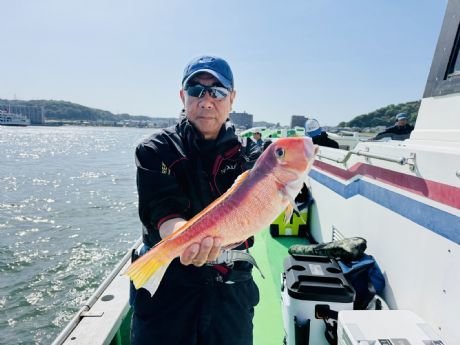 アマダイ(アカアマダイ)