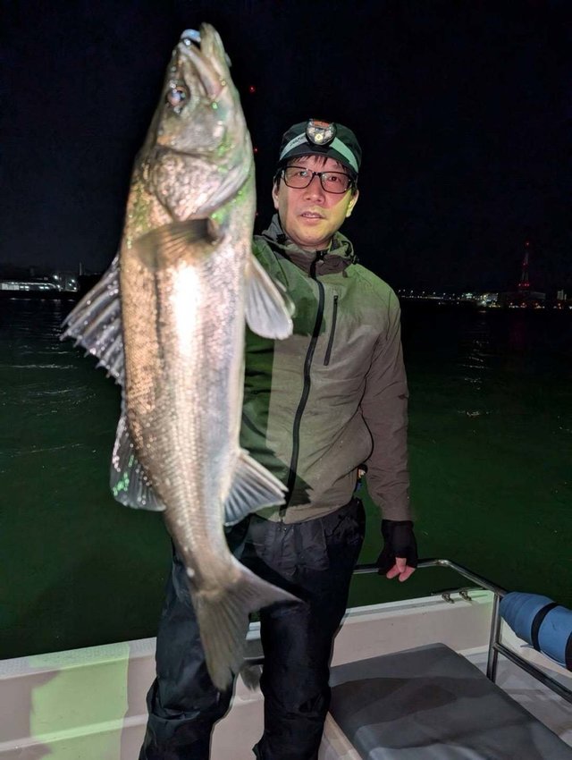 シーバス(スズキ)