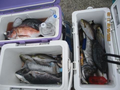 マダイ・イサキ