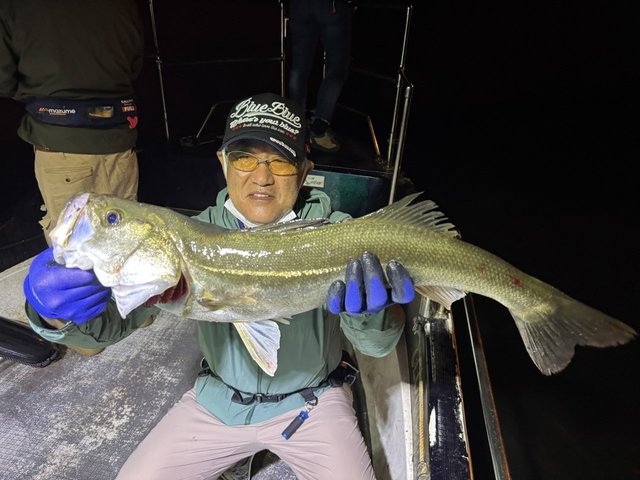 シーバス(スズキ)