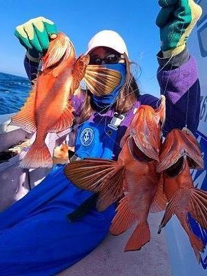 キントキ(チカメキントキ)