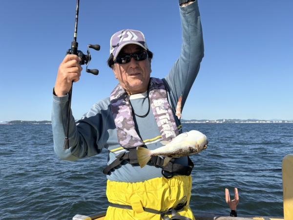 ショウサイフグ