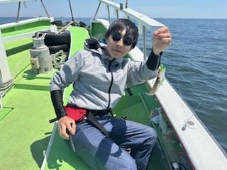 キス(シロギス)