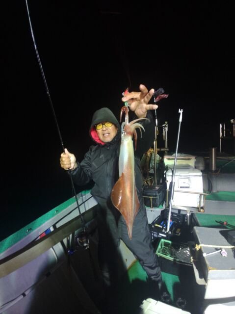 イカ(ヤリイカ)