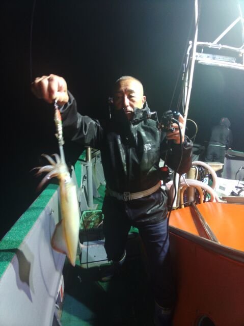 イカ(ヤリイカ)