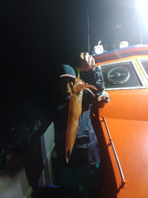 イカ(ヤリイカ)