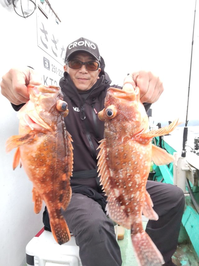 ガシラ(カサゴ)