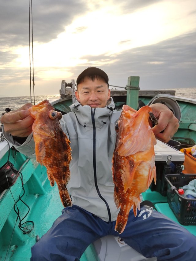 ガシラ(カサゴ)