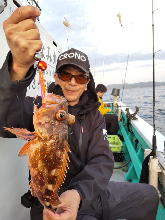 ガシラ(カサゴ)