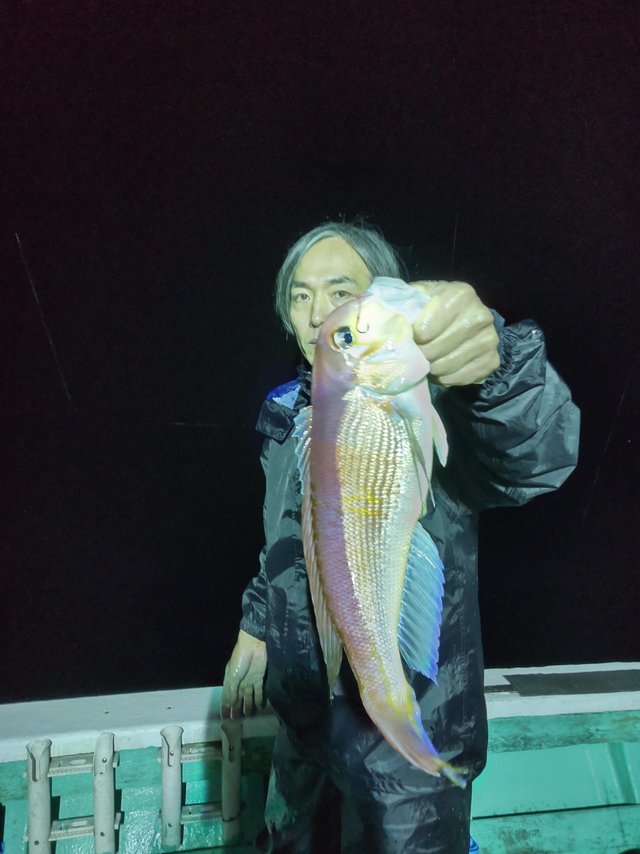 アマダイ(アカアマダイ)