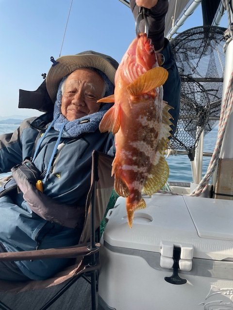 アコウ(キジハタ)