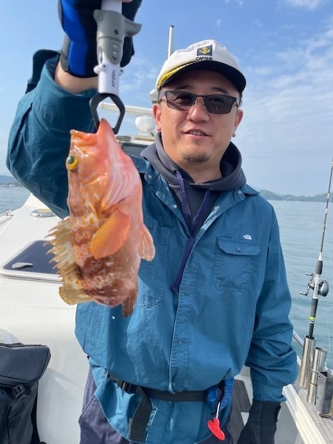 アコウ(キジハタ)