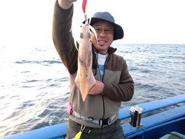 マイカ(ケンサキイカ)