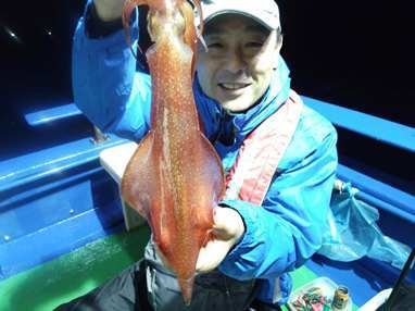 マイカ(ケンサキイカ)