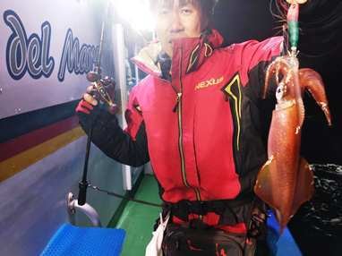 マイカ(ケンサキイカ)